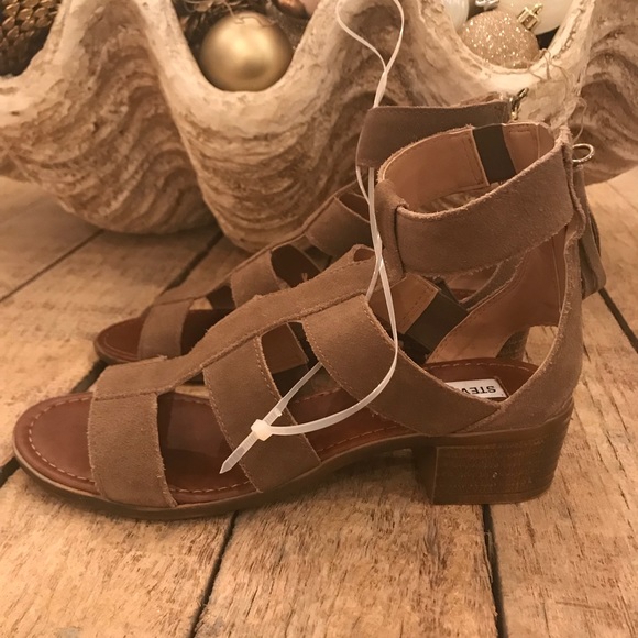 🌟NWT🌟 Steve Madden Daviss gladiator sandal - Picture 7 of 8